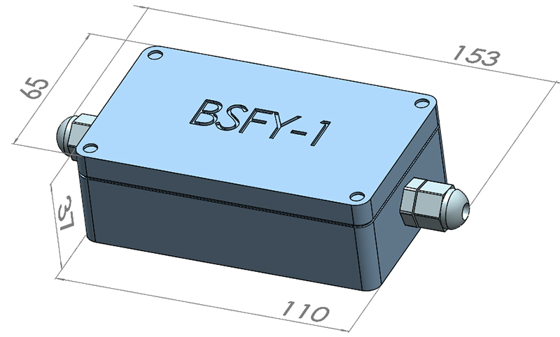 BSFY-1.jpg
